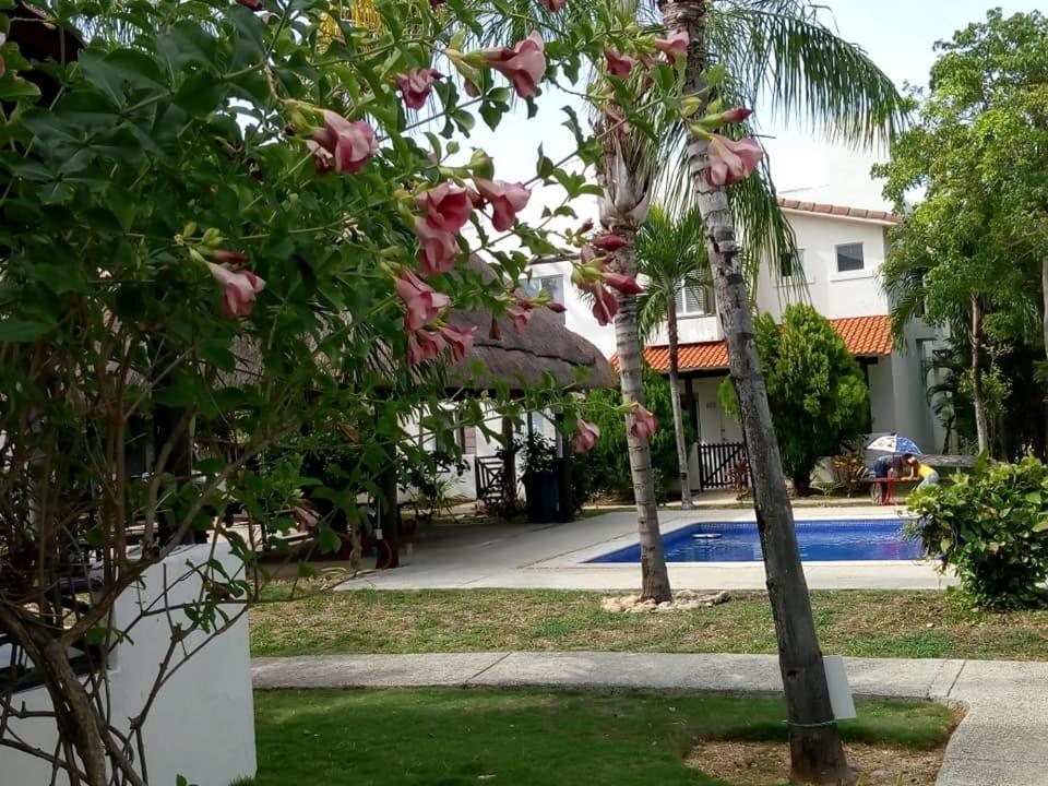 Casa Mikeles Pensión Playa del Carmen